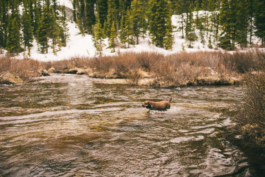 Colorado_Adventure_Photographer_Alma_Hoosier_Pass_Tunnel_Off_Road_Camping_Hiking_Wilderness_Survival_Trip_with_Abandon_Mountain_Side_Cabin_Mining_Ruins_Old_Mill_Hammock-023