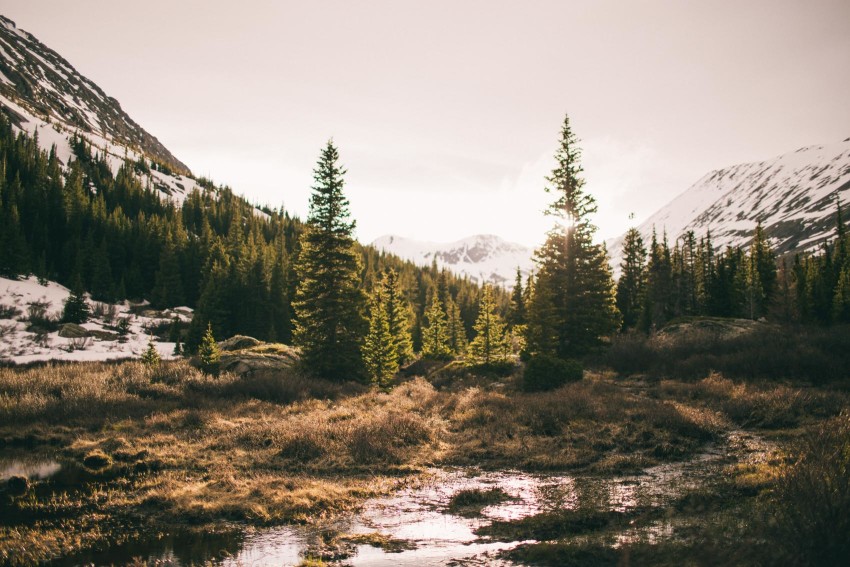 Colorado_Adventure_Photographer_Alma_Hoosier_Pass_Tunnel_Off_Road_Camping_Hiking_Wilderness_Survival_Trip_with_Abandon_Mountain_Side_Cabin_Mining_Ruins_Old_Mill_Hammock-040