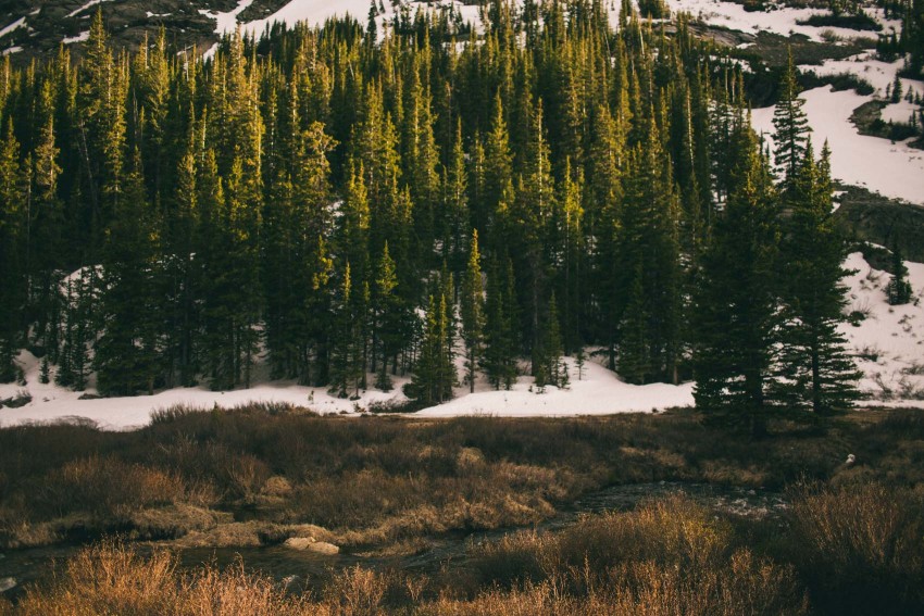 Colorado_Adventure_Photographer_Alma_Hoosier_Pass_Tunnel_Off_Road_Camping_Hiking_Wilderness_Survival_Trip_with_Abandon_Mountain_Side_Cabin_Mining_Ruins_Old_Mill_Hammock-041