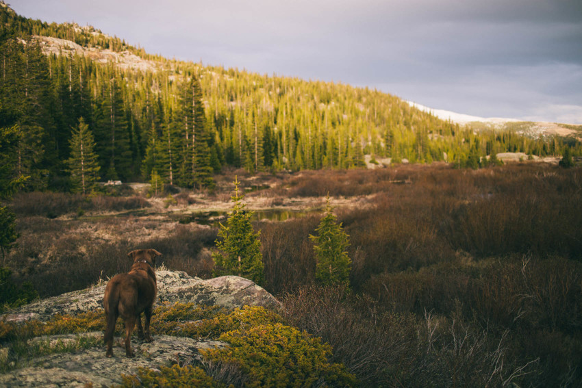 Colorado_Adventure_Photographer_Alma_Hoosier_Pass_Tunnel_Off_Road_Camping_Hiking_Wilderness_Survival_Trip_with_Abandon_Mountain_Side_Cabin_Mining_Ruins_Old_Mill_Hammock-042