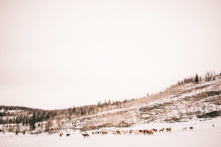 Kori Dan Engagement Steamboat Springs Vista Verde Ranch Horses Barn Snow Winter-012