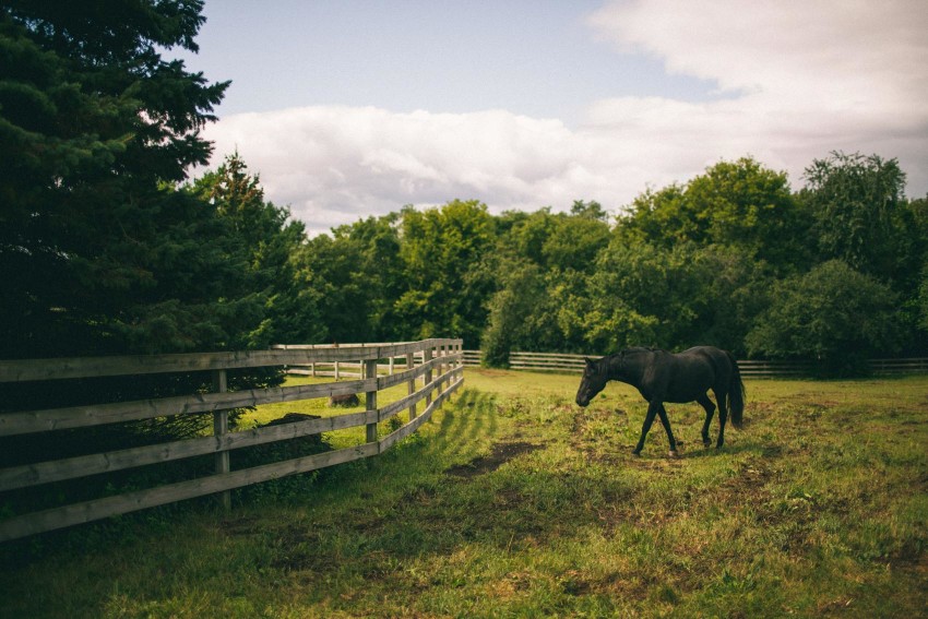 003 Mukwonago Milwaukee WI Barn DIY Laid-back Country Horses Tractor Picnic Summer Fun Christian Thursday Weekday Hay Bales Danny Andrea