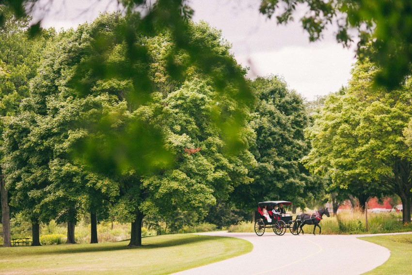 047 Mukwonago Milwaukee WI Bride Entrance on a Horse Carriage Fairy Tale Wedding Cinderella Danny Andrea