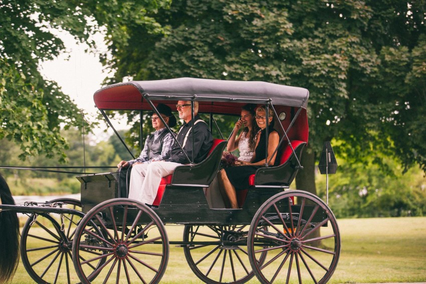 048 Mukwonago Milwaukee WI Bride Cinderealla Entrance Horse Carriage Laid Back Wedding Andrea Danny Andrea