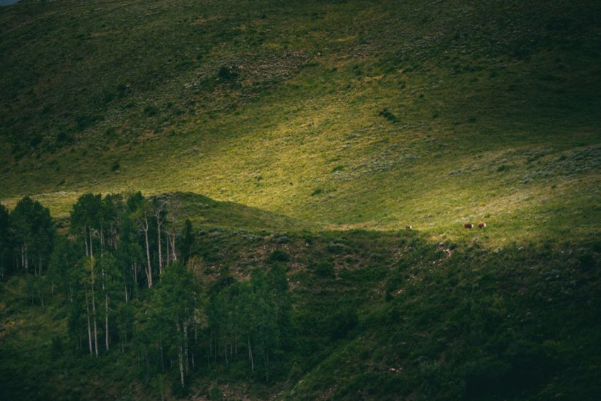 002 Crested Butte Elopement Waterfall Krsitin Phil Westfalia Off Road Adventure