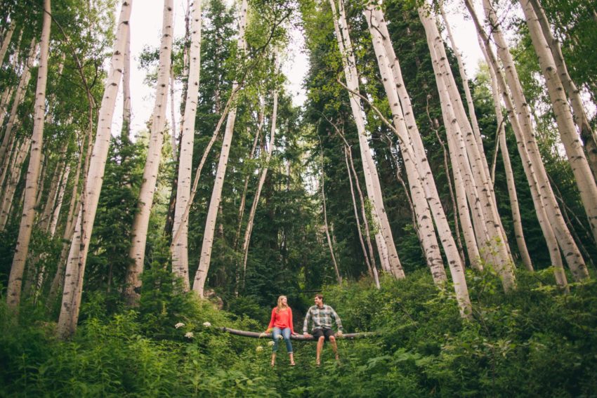 008 Crested Butte Wildflower Adventure Engagement Shoot Washington Gulch Jenna Drew