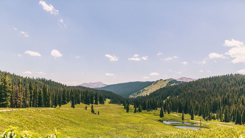 mountain view washington gulch crested butte
