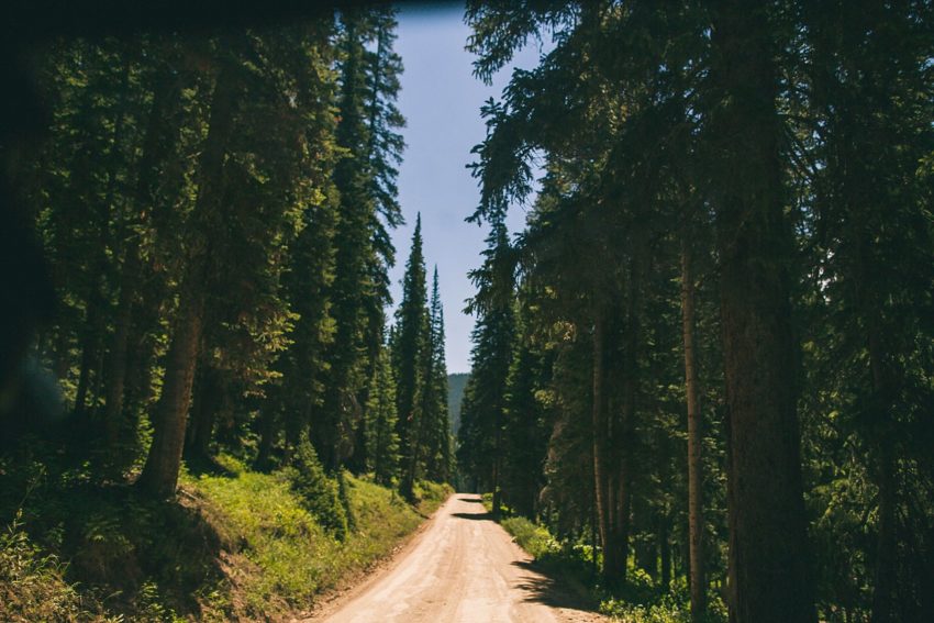 crested butte washington gulch